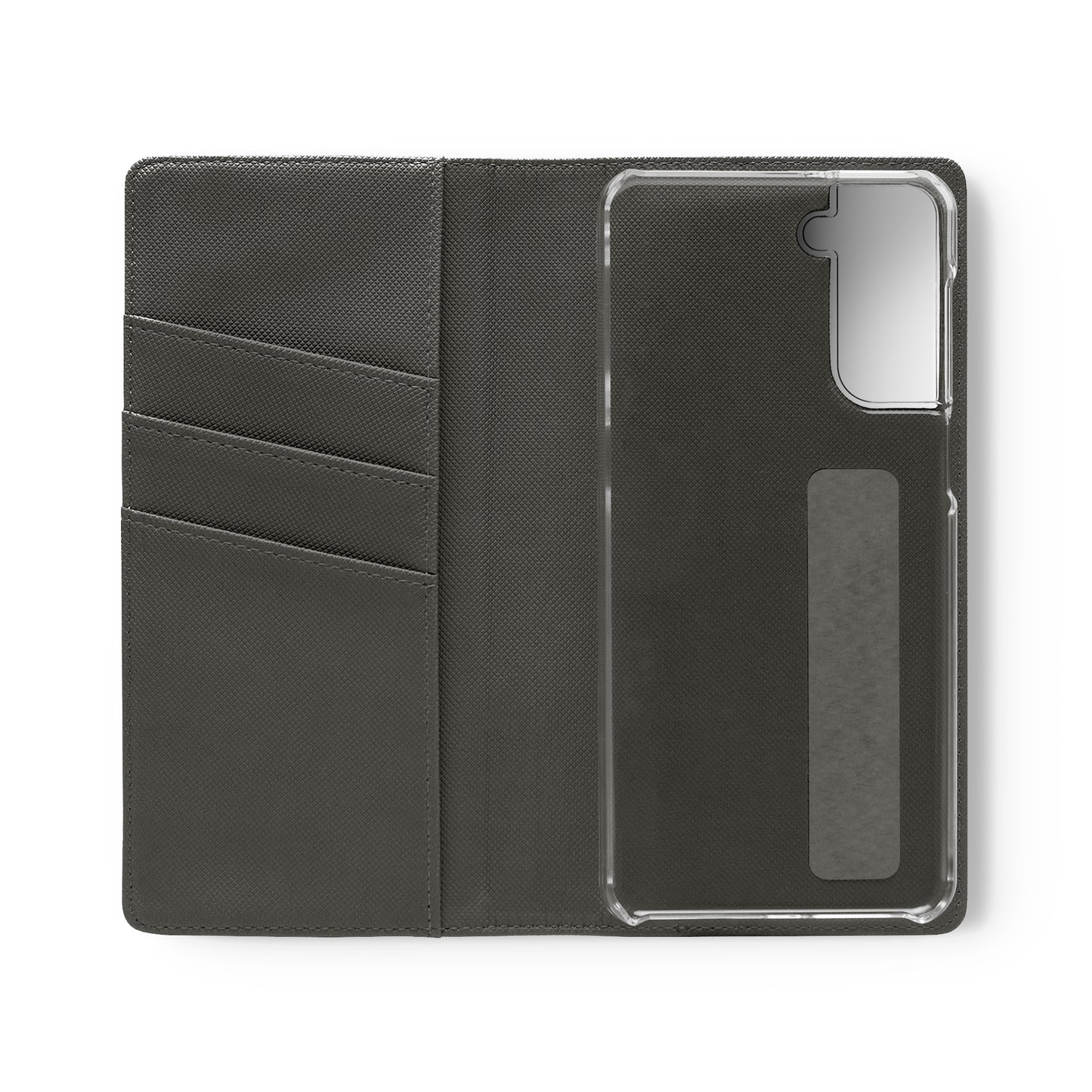 Missouri Flip Cases