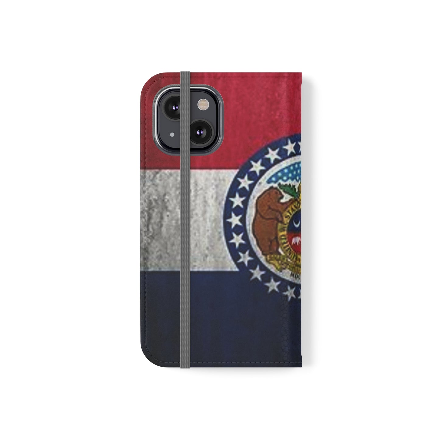 Missouri Flip Cases