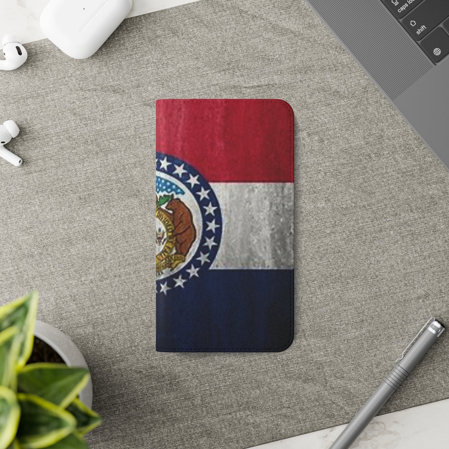 Missouri Flip Cases