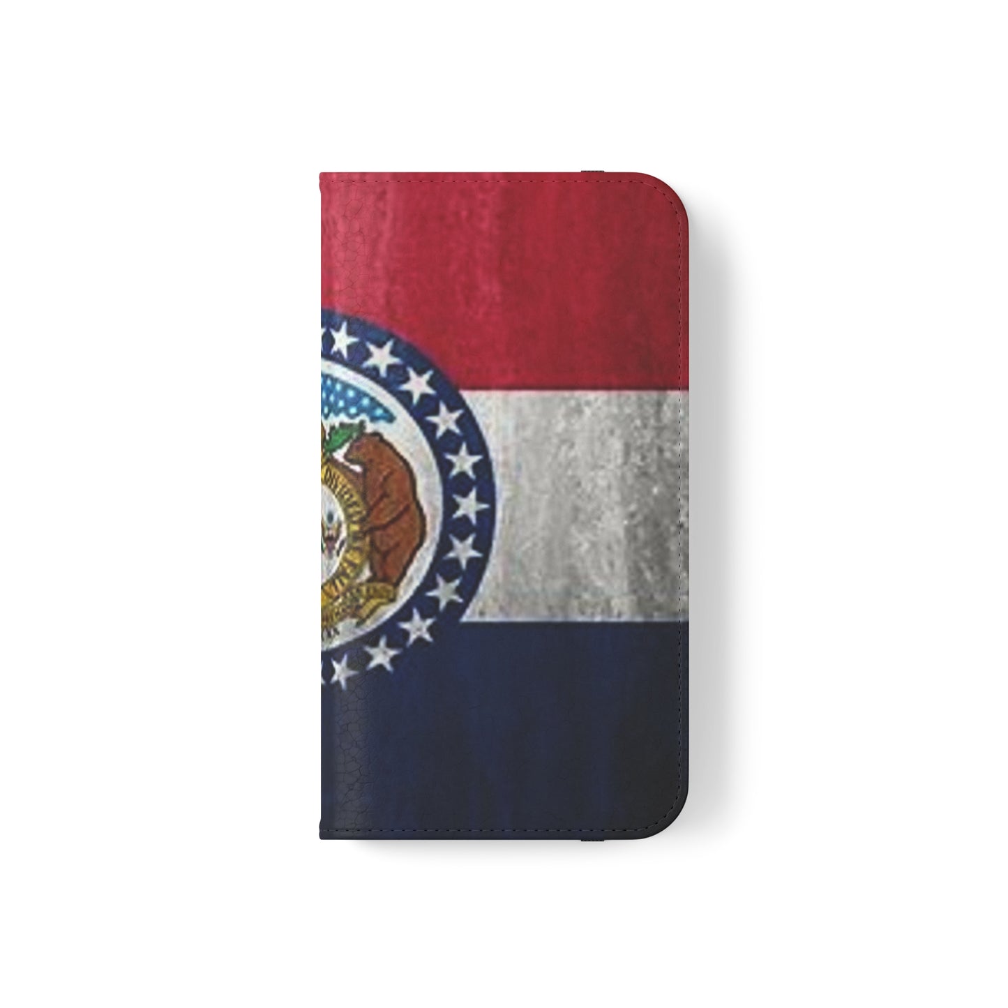 Missouri Flip Cases