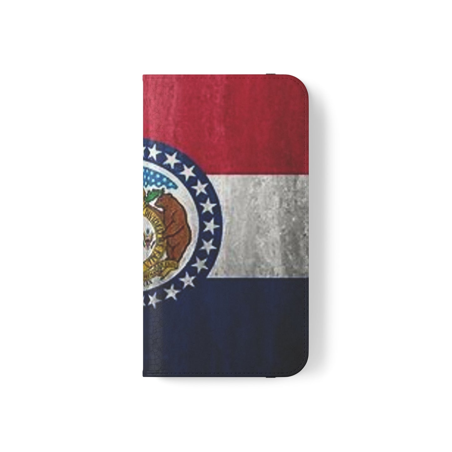 Missouri Flip Cases