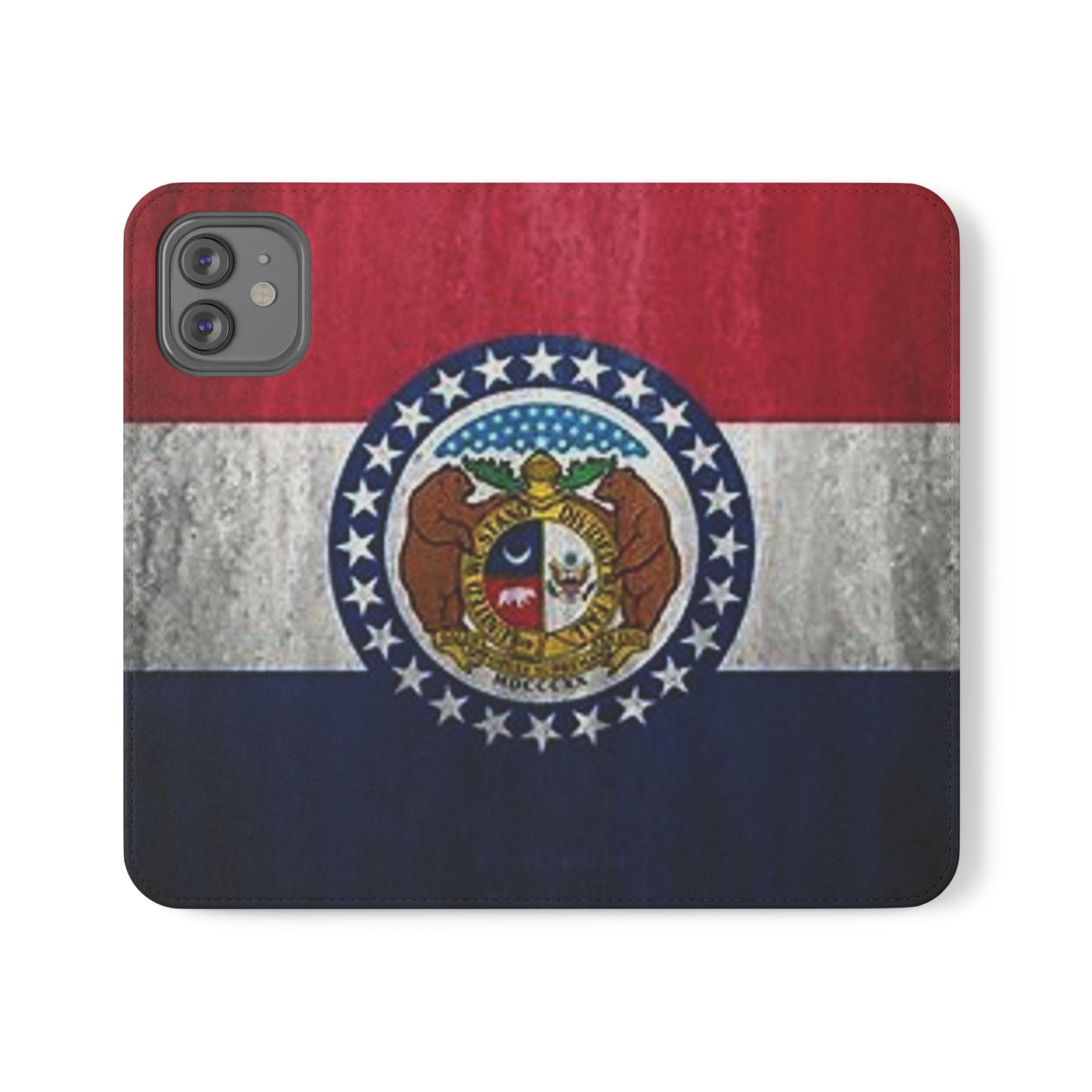 Missouri Flip Cases