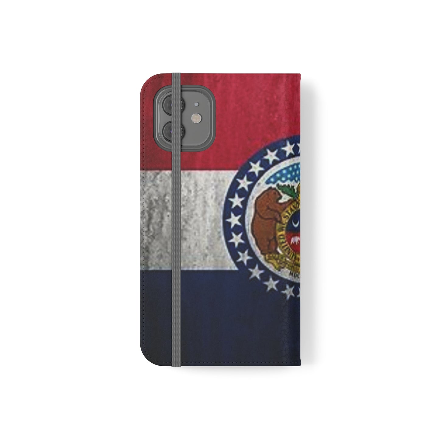 Missouri Flip Cases