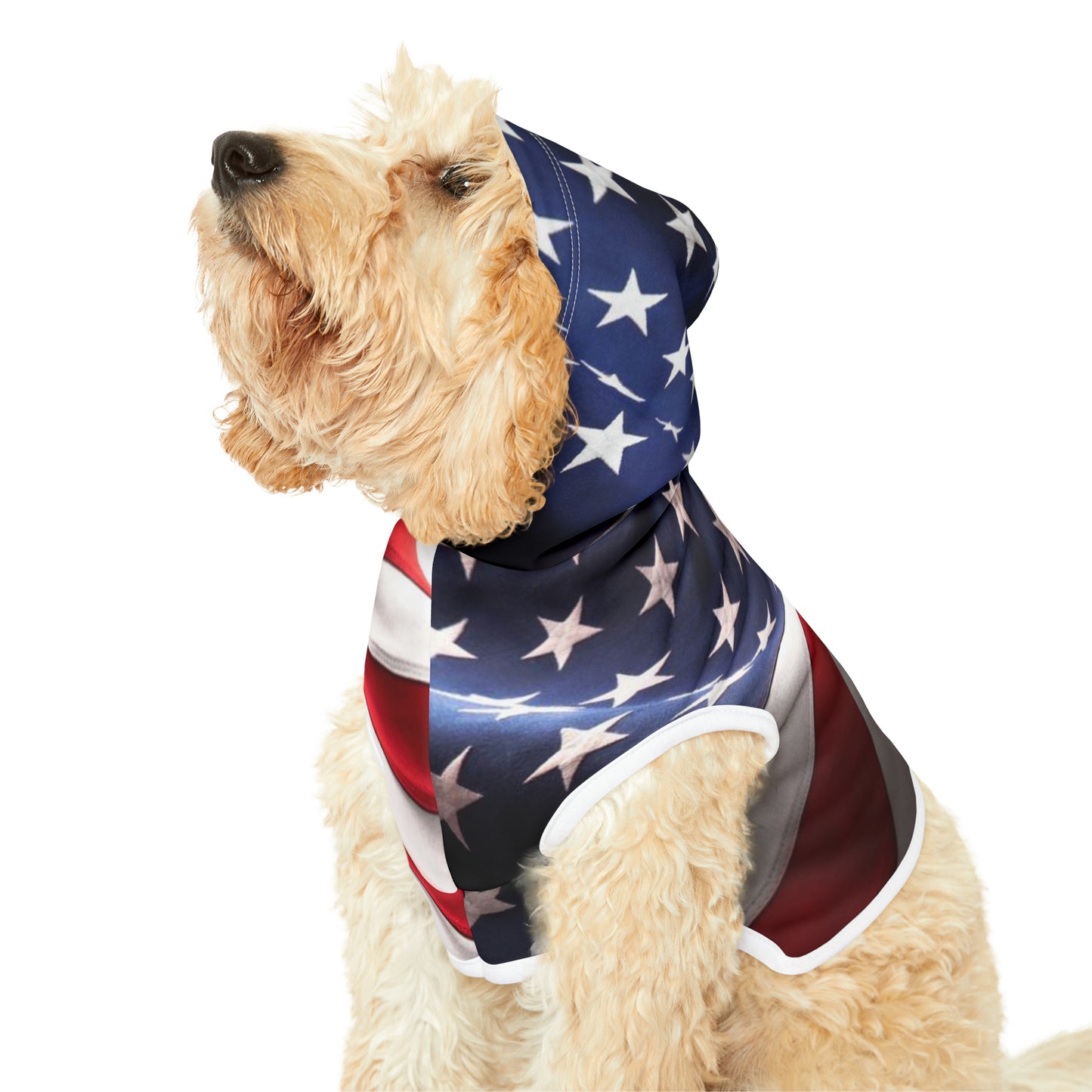 USA Pet Hoodie