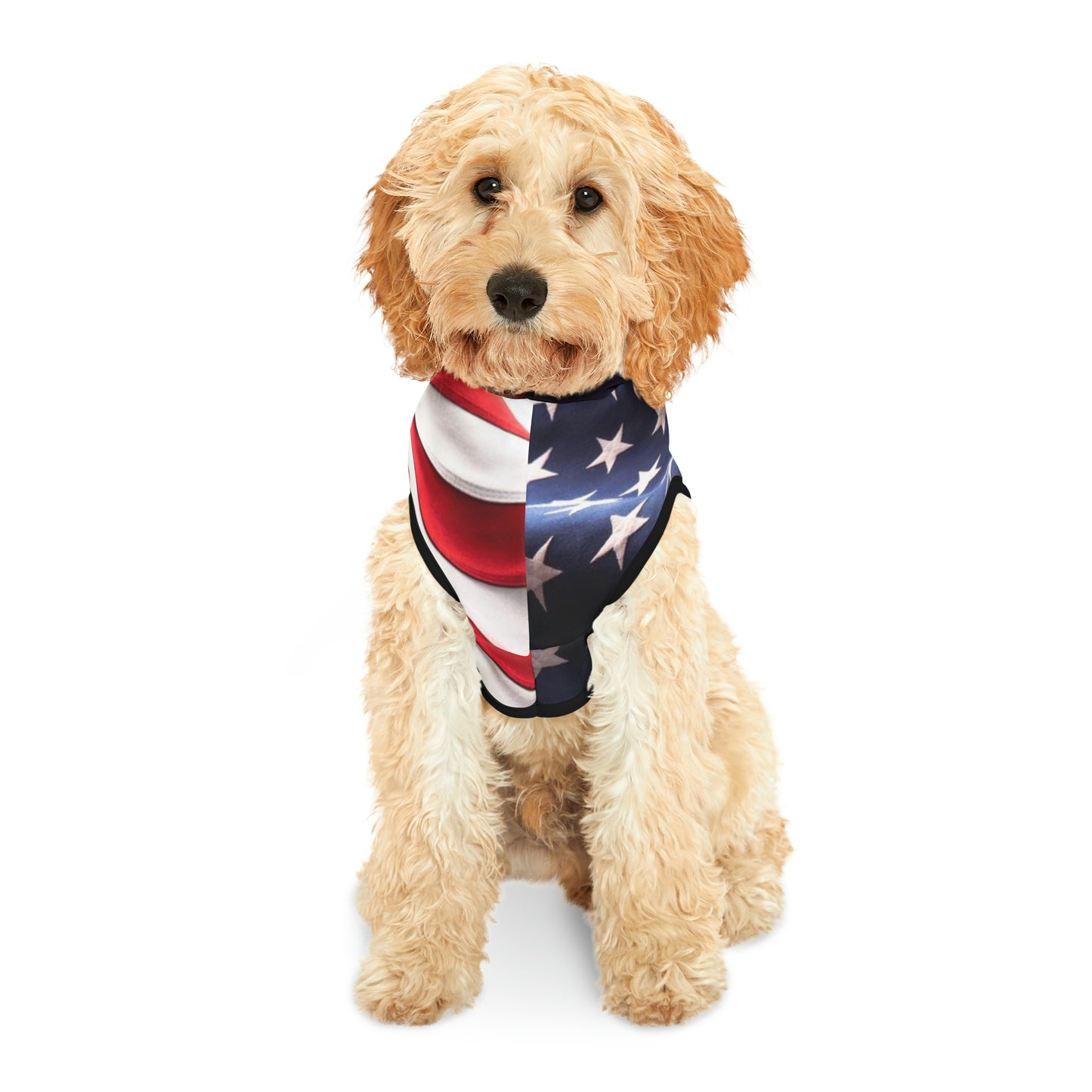 USA Pet Hoodie