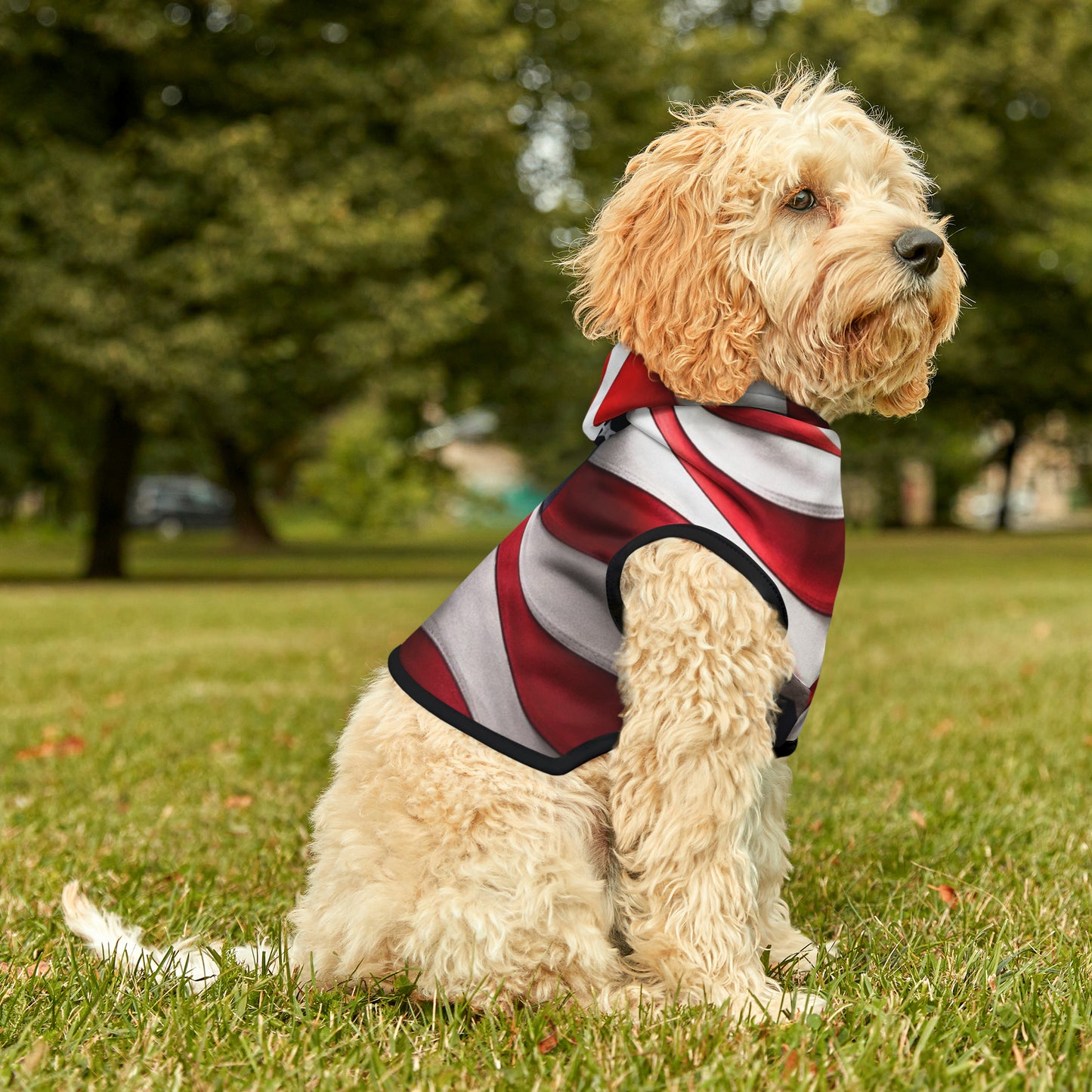 USA Pet Hoodie