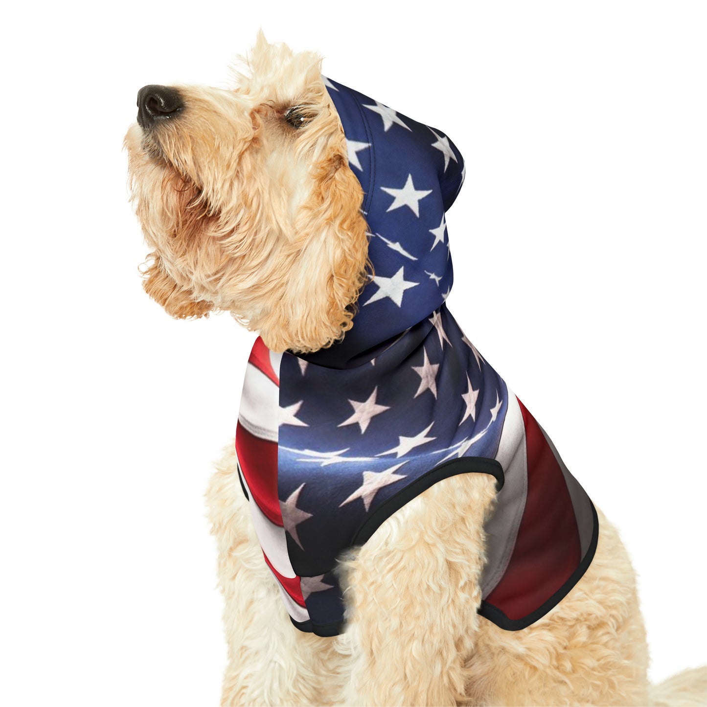 USA Pet Hoodie