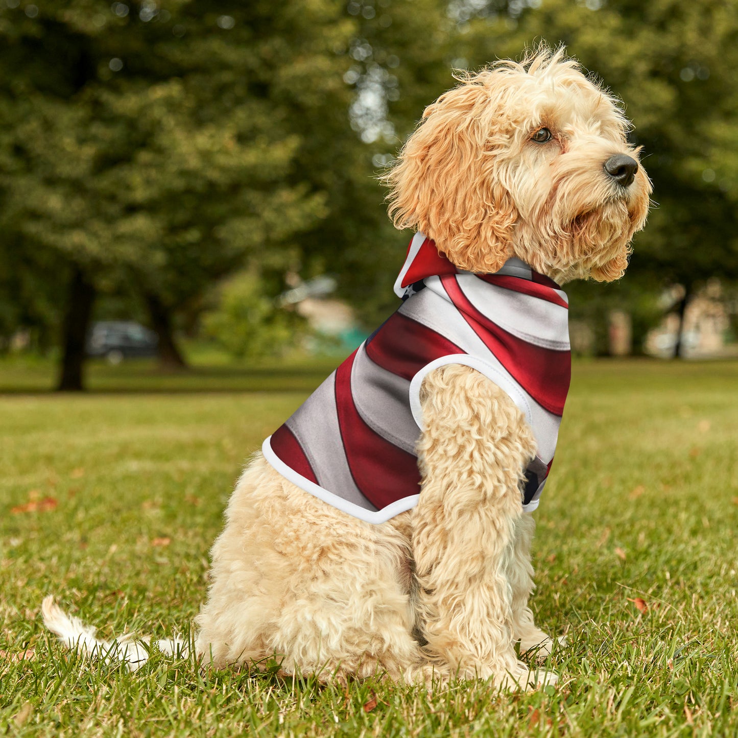 USA Pet Hoodie