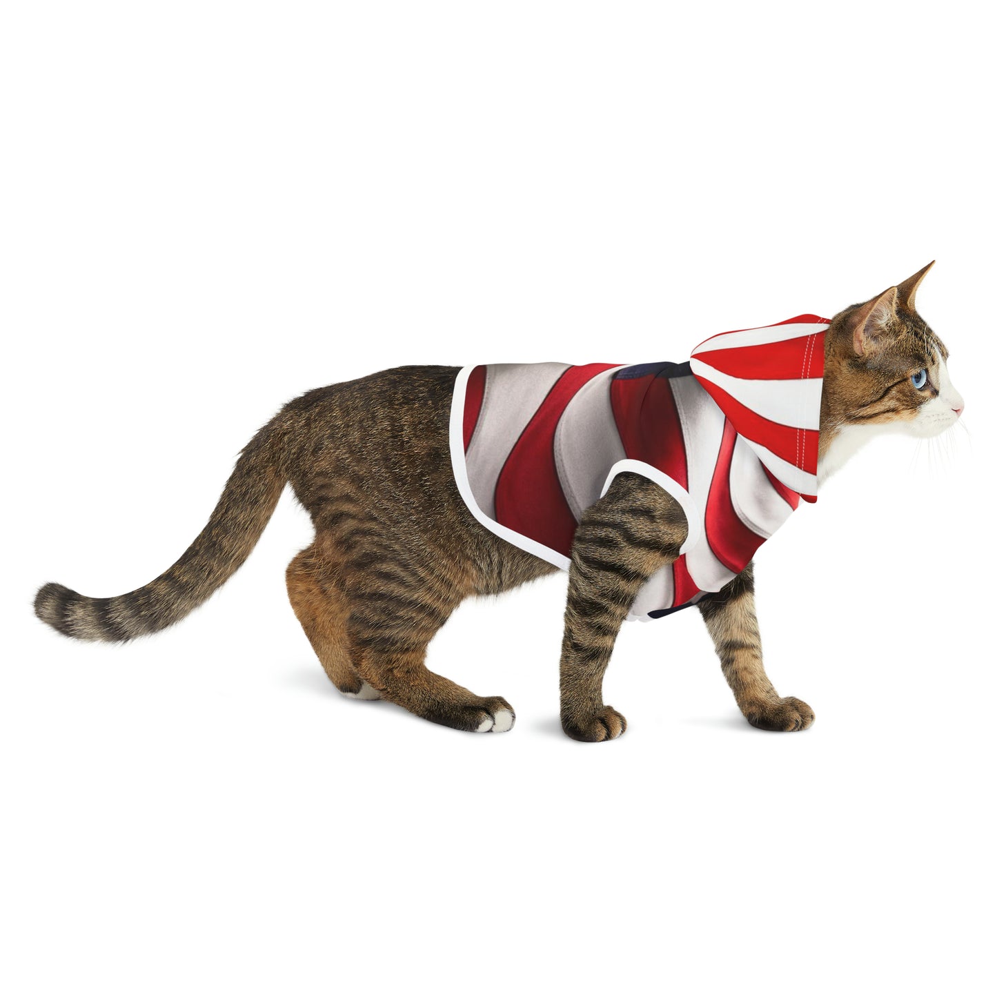 USA Pet Hoodie