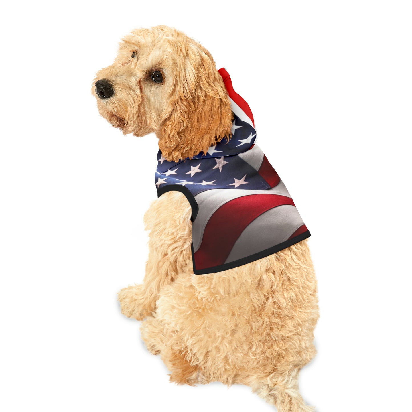 USA Pet Hoodie