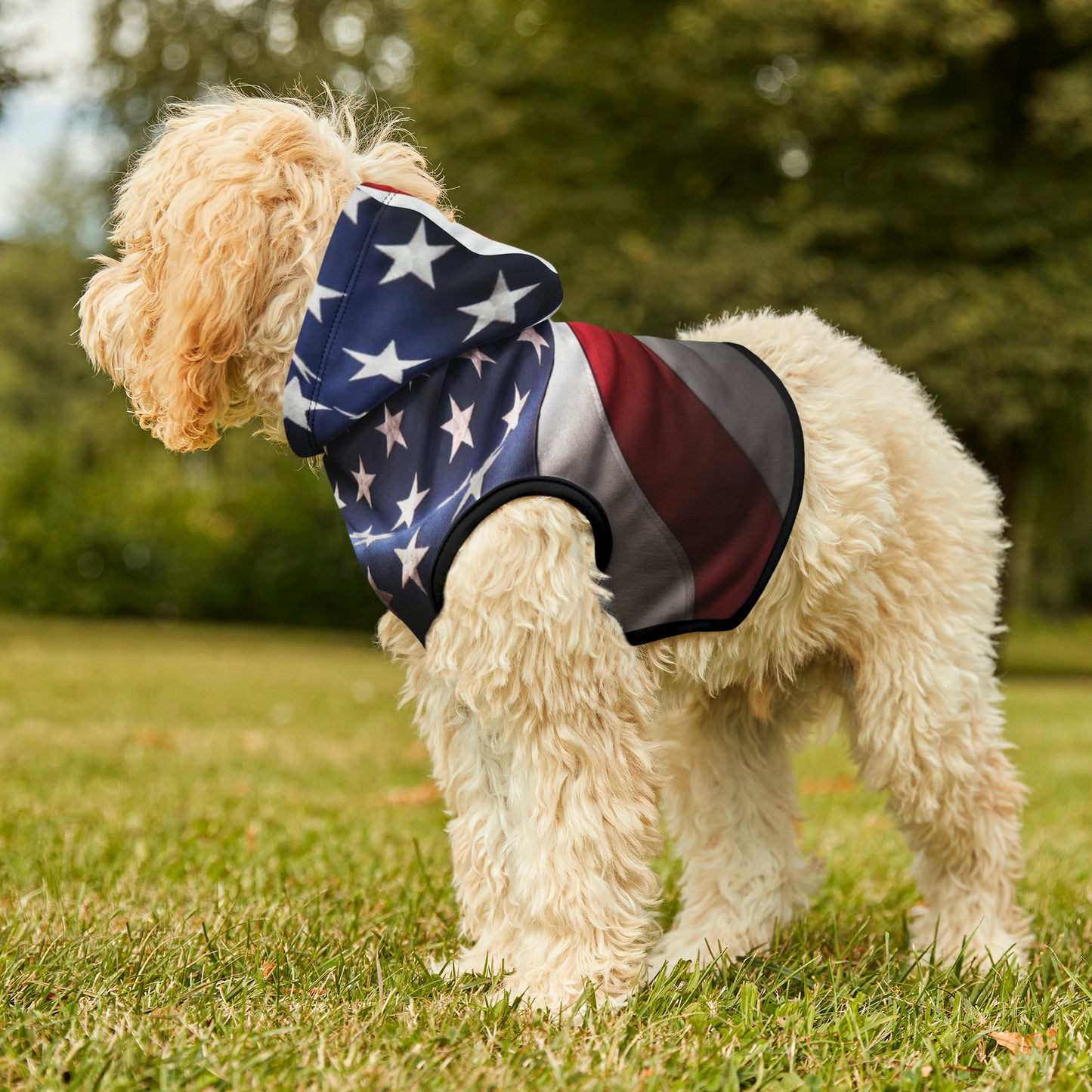 USA Pet Hoodie