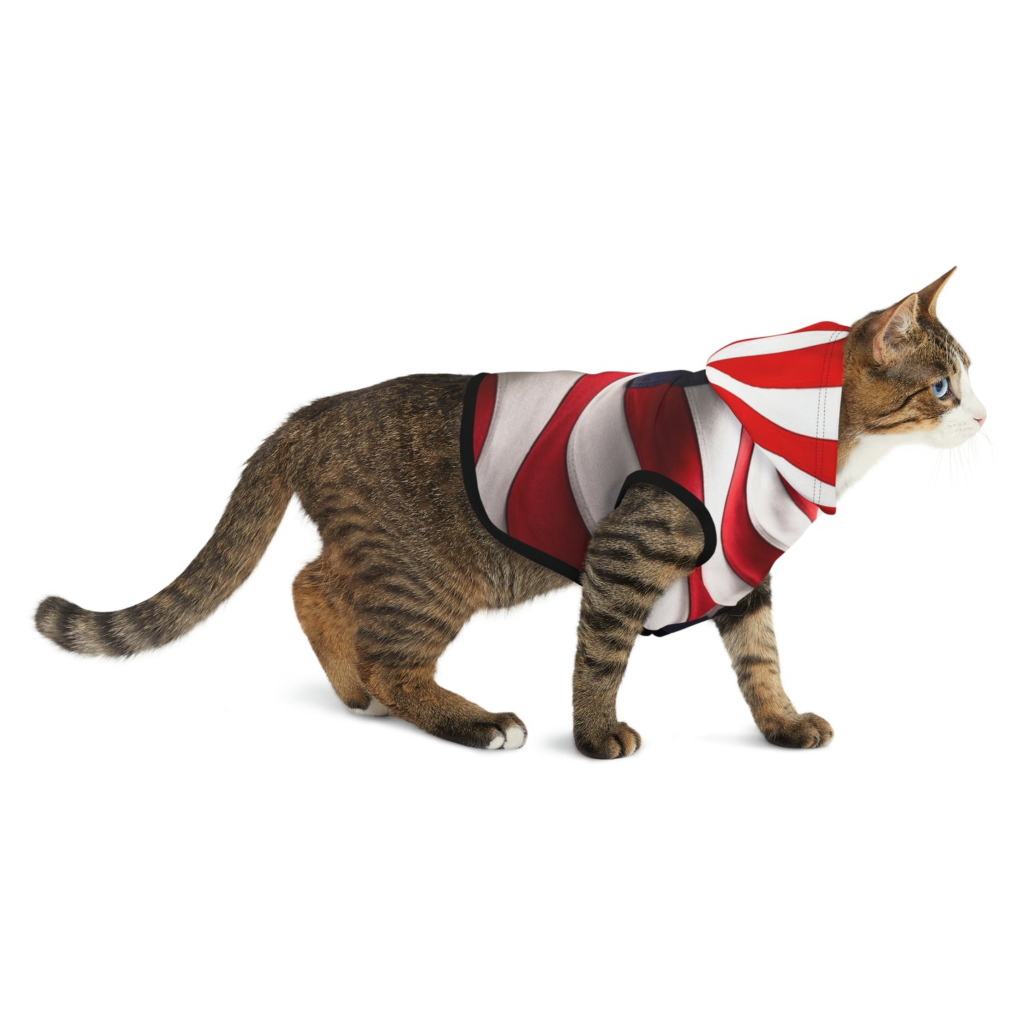 USA Pet Hoodie