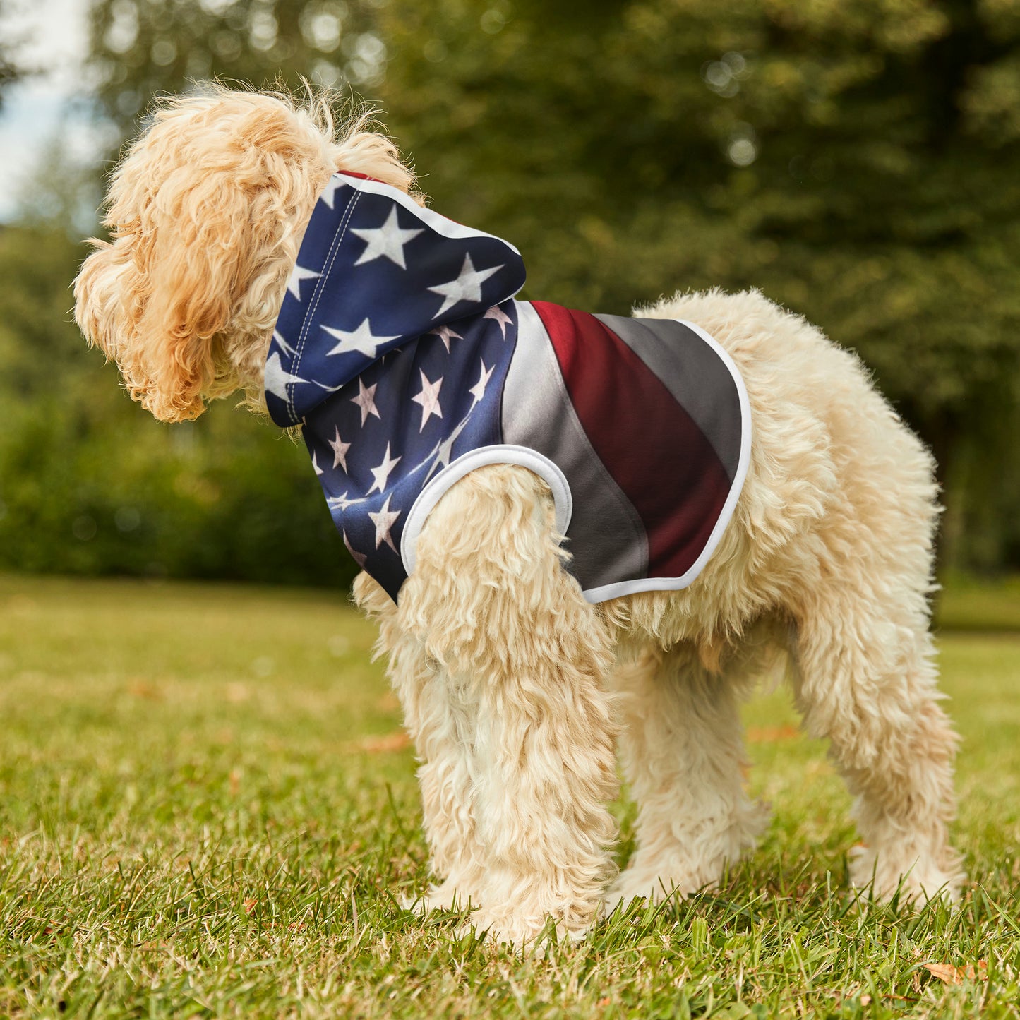 USA Pet Hoodie