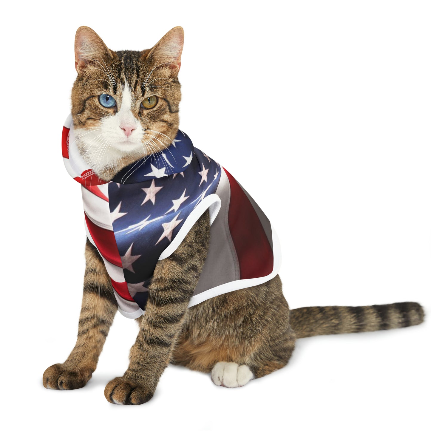 USA Pet Hoodie