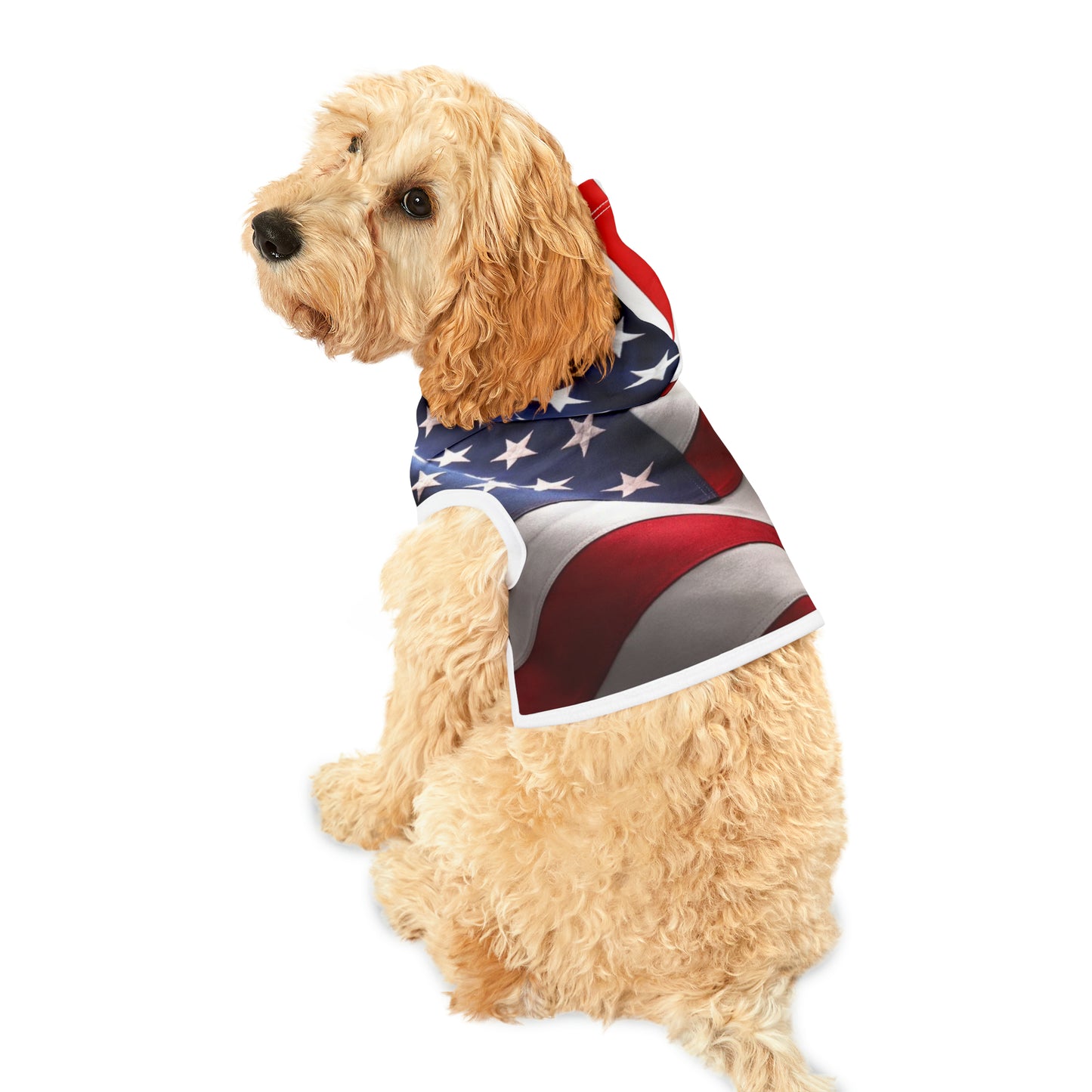 USA Pet Hoodie