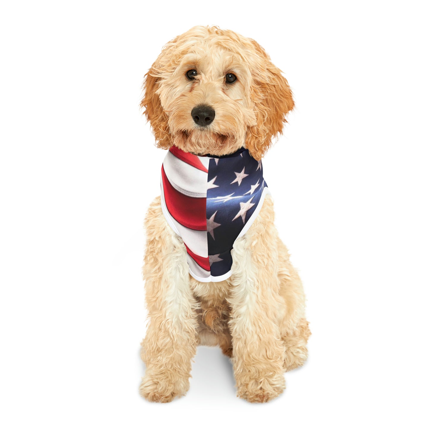 USA Pet Hoodie