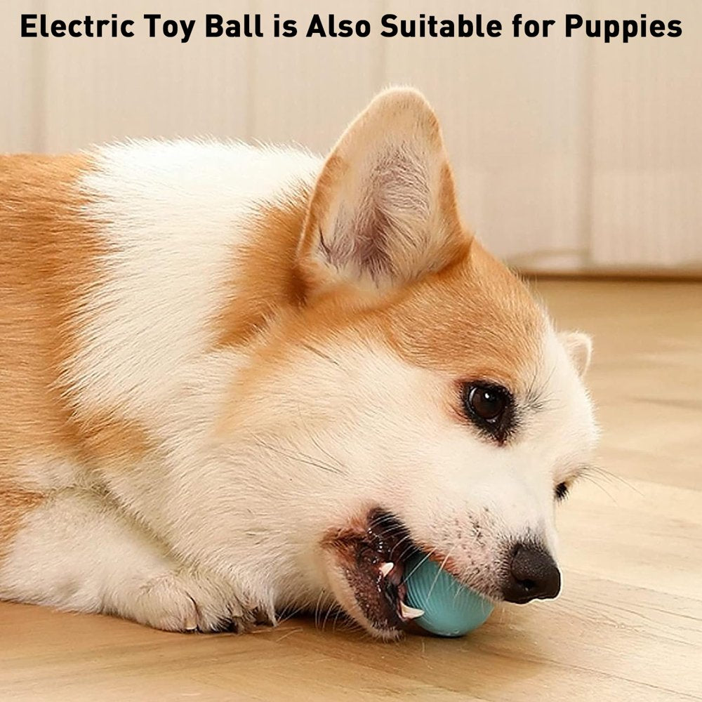 Electric Cat Ball Toys