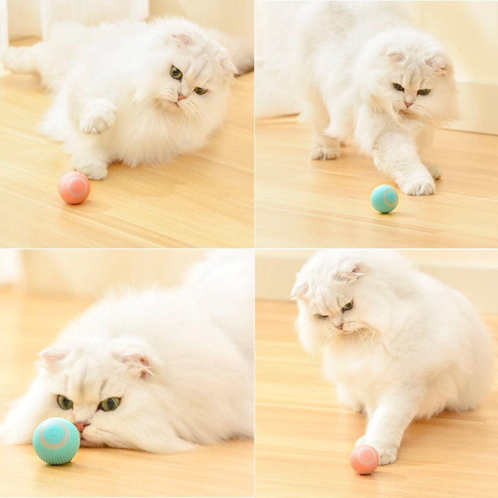 Electric Cat Ball Toys