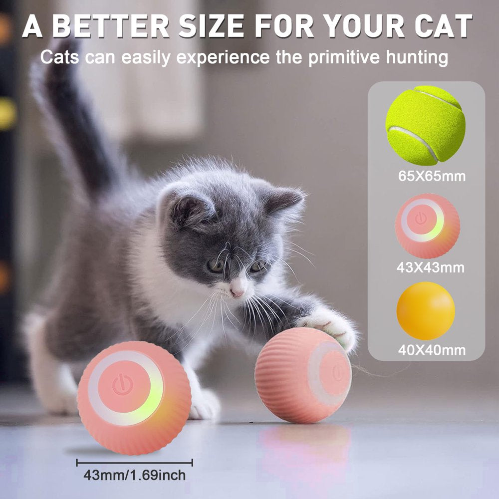 Electric Cat Ball Toys